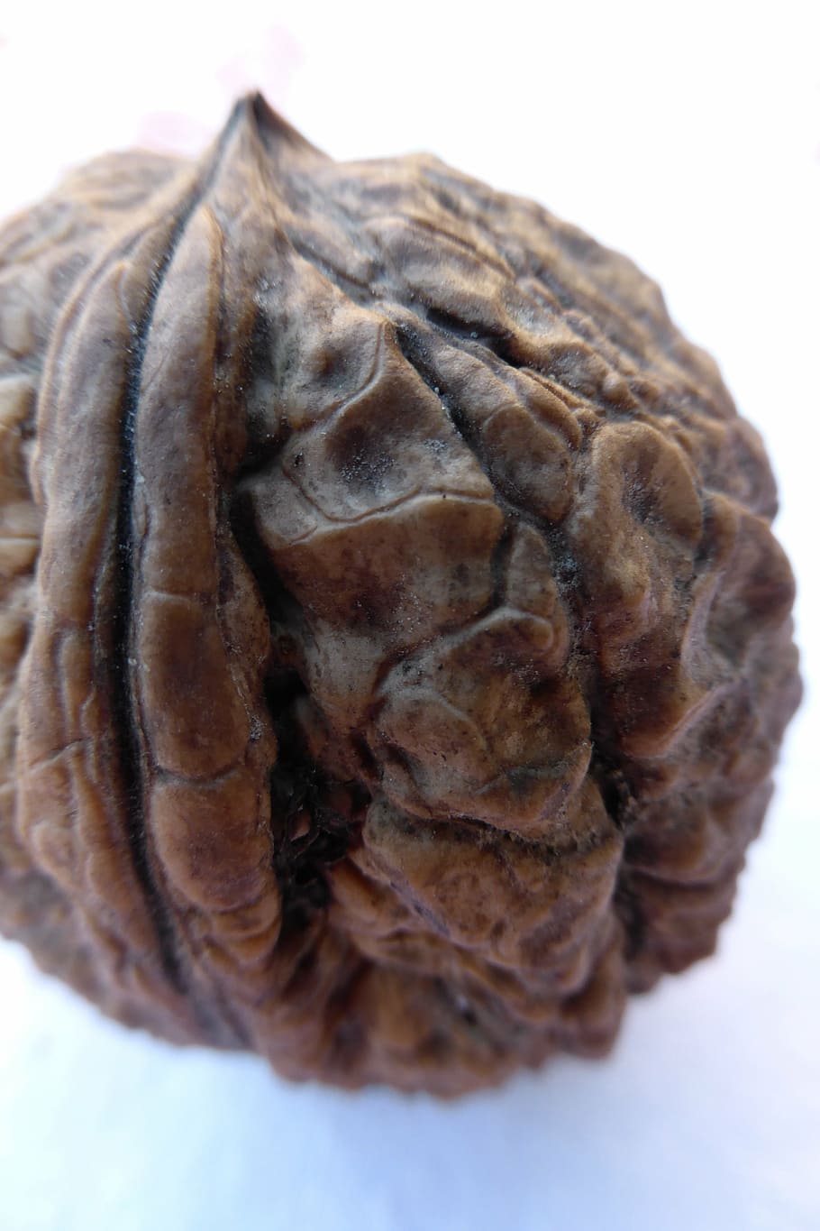 noguera, nou, shell, arrugat, tardor, collita, acció de gràcies, greix, menjar, saludable, femella d’arbre, primer pla, fons blanc, natura morta, tir de l'estudi, a l'interior, marró, menjar i beguda, benestar, frescor, cap gent, alimentació saludable, centrar-se en primer pla, nou - aliments, patró, textura, sol objecte, patró natural, 4K