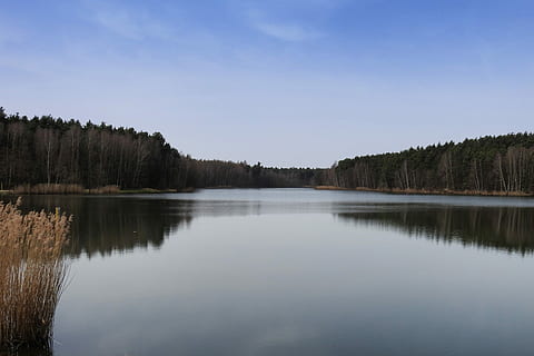 llac, arbres, reflexió, duplicació, arbres reflectits, paisatge, naturalesa, morgenstimmung, hora blava, aigua, escenics, escena tranquil·la, arbre, escenics - natura, cel, tranquil·litat, cap gent, planta, bellesa a la natura, bosc, escena no urbana, dia, cel clar, terra, idíl·lic, còpia espai, arbre de coníferes, 2K, CC0, domini públic, lliure de regalies