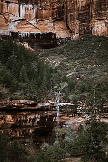 zdjęcie krajobrazu, sosny, z przodu, Góra, Zielony, drzewo liściaste, fotografia krajobrazowa, wodospady, drzewa, Klif, drzewo, las, sosna, wodospad, Natura, rock - obiekt, krajobraz, scenics, kanion, rzeka, na dworze, znane miejsce, kamień - przedmiot, geologia, Utah, formacja skalna, żadnych ludzi, woda, skała, dzień, solidny, zbudowana struktura, roślina, Geografia fizyczna, architektura, piękno natury, wylądować, scena pozamiejska, scenics - natura, 5K, CC0, domena publiczna, darmowe zdjęcia