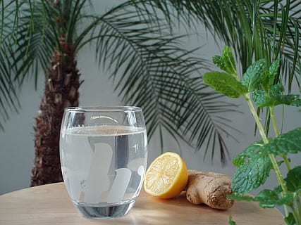 Ingwer Bier, brauen, Flüssigkeit, Ingwer, Bier, Erfrischung, Getränk, Durst, Glas, Sommer-, lecker, köstlich, kalt, prost, profitieren von, Zitrone, Minze, Pfefferminze, Palme, Baum, Trinkglas, Obst, Wasser, keine Leute, Essen und Trinken, Lebensmittel, gesundes Essen, Tabelle, Pflanze, Blatt, Wohlbefinden, Haushaltsausstattung, Zitrusfrucht, Frische, Natur, Glas - Material, Kraut, Palmblatt, Zimmerpflanze, 1080P, CC0, gemeinfrei, lizenzfrei