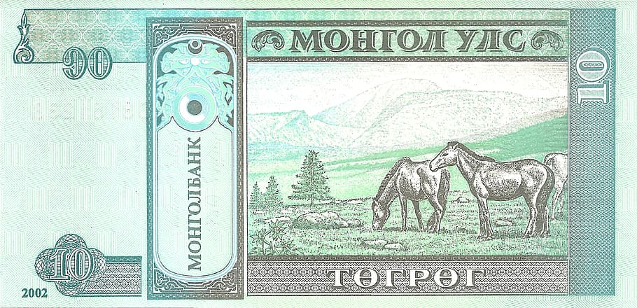 bitllets de banc, diners, escanejar, nota, rosa, cahs, financers, moneda, banca, economia, internacional, intercanvi, pagament, comprar, tugrikobverse, anvers, tögrög, mongolia, verd, moneda de paper, Finances, negocis, riquesa, negoci corporatiu, gent, color verd, paper, fons, nombre, mamífer, primer pla extrem, document, 2K