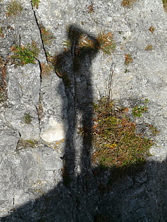 hispanic, joc de umbre, umbră, uman, persoană, ușoară, fotograf, siluetă, cineastul, fotografie, copie, texturată, plantă, zi, nici o persoana, creştere, solid, natură, stâncă, copac, obiect de rocă, în aer liber, stare brută, a închide, trunchi de copac, mușchi, trompă, fundaluri, montare pe perete, cadru complet, vechi, latra, lichen, 2K, CC0, domeniu public, fără drepturi de autor