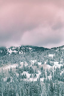 aèria, foto, muntanya, cobert, neu, hivern, blanc, fred, temps, gel, arbres, plantes, naturalesa, boscos, bosc, núvols, cel, viatjar, aventura, temperatura de fred, bellesa a la natura, escenics, a l'aire lliure, pi, planta, arbre, medi ambient, escenics - natura, paisatge, núvol - cel, escena tranquil·la, tranquil·litat, cap gent, bosc de pi, terra, arbre de coníferes, arbre de fulla perenne, avet, 5K, CC0, domini públic, lliure de regalies