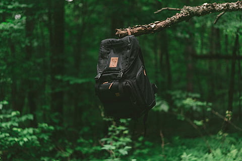 negru, rucsac, ramură de copac, selectiv, focalizare fotografie, agăţat, maro, timpul zilei, copac, sac, ramură, pădure, verde, lemn, înființat, Angrenaj, echipament, scenă, crește, suspendat, atârna, Piele, stil, produs, băț, frunze, să se concentreze asupra primelor elemente, teren, natură, plantă, zi, nici o persoana, în aer liber, protecţie, creştere, liniște, Securitate, comunicare, culoare neagră, tehnologie, la distanta, Siguranță, 8K, CC0, domeniu public, fără drepturi de autor