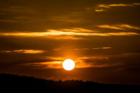 silhuett, träd, solnedgång, Sol, moln, ljust moln, Abendstimmung, himmel, kvällshimmel, afterglow, romantik, humör, atmosfärisk, kvällssol, natur, granar, skönhet i naturen, moln - himmel, dramatisk himmel, scenics, skymning, scenics - natur, lugn plats, lugn, orange färg, idyllisk, icke-urbana scenen, inget folk, landskap, miljö, solljus, gul, utomhus, astronomi, ljus, 5K, CC0, offentligt domän, royaltyfria