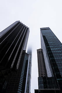 low-angle photography, high-rise, buildings, daytime, black, blue, high, rise, building, day, time, architecture, infrastructure, skyscraper, sky, tower, low angle view, building exterior, city, modern, office building exterior, built structure, city life, tall - high, clear sky, office, nature, no people, landscape, outdoors, financial district, height, 2K, CC0, public domain, royalty free