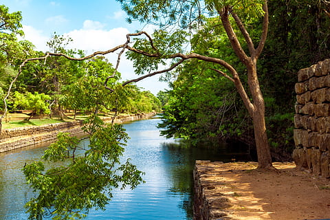 foto, verd, arbre de fulla, al costat, riu, canal, núvols, la llum del dia, medi ambient, bosc, herba, paisatge, fulles, naturalesa, a l'aire lliure, parc, roques, escènic, cel, arbres, aigua, boscos, arbre, planta, tranquil·litat, bellesa a la natura, escena tranquil·la, color verd, escenics - natura, creixement, dia, cap gent, terra, tronc, núvol - cel, tronc de l'arbre, escena no urbana, 5K, CC0, domini públic, lliure de regalies