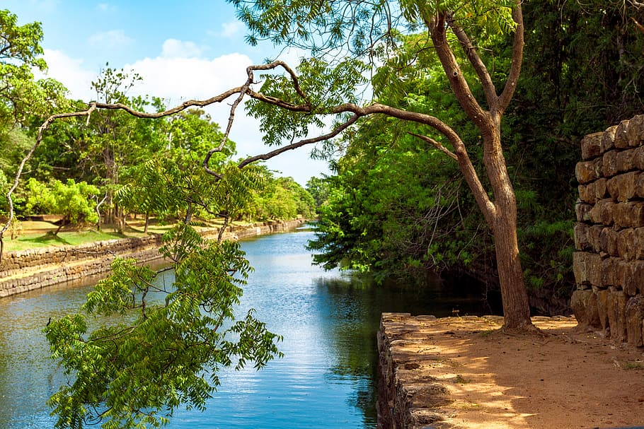 foto, verd, arbre de fulla, al costat, riu, canal, núvols, la llum del dia, medi ambient, bosc, herba, paisatge, fulles, naturalesa, a l'aire lliure, parc, roques, escènic, cel, arbres, aigua, boscos, arbre, planta, tranquil·litat, bellesa a la natura, escena tranquil·la, color verd, escenics - natura, creixement, dia, cap gent, terra, tronc, núvol - cel, tronc de l'arbre, escena no urbana, 5K
