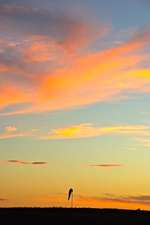 Sonnenuntergang, Himmel, Sonne, Orange, Gelb, wunderschönen, Idylle, Windsack, früher Morgen, Landschaft, szenisch, orange Farbe, Schönheit in der Natur, wolke - himmel, Silhouette, Szenen - Natur, fliegend, Vogel, Wirbeltier, Tierthemen, Tiere in freier Wildbahn, Ruhe, Natur, Tier, ruhige Szene, Tierwelt, keine Leute, ein Tier, draußen, 4K, CC0, gemeinfrei, lizenzfrei