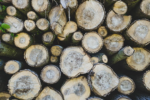 pilha, log de madeira, aéreo, foto, laje de madeira, tronco de árvore, rasgar, empilhado, registro, floresta, de madeira, verde, Castanho, plantar, árvore, madeira, lenha, grande grupo de objetos, origens, indústria madeireira, quadro completo, desmatamento, madeira - material, abundância, problemas ambientais, monte, geração de combustível e energia, ninguém, natureza, arranjo, pilha de lenha, ao ar livre, picado, 5K, CC0, domínio público, royalty free