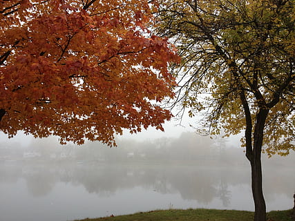 Fluss, fallen, Bäume, Landschaft, Natur, Wasser, Szene, natürlich, nebelig, neblig, Baum, Pflanze, Schönheit in der Natur, See, Nebel, Ruhe, Herbst, ruhige Szene, Reflexion, Szenen - Natur, keine Leute, Veränderung, Tag, idyllisch, Nicht-städtische Szene, Wachstum, draußen, Reflexionssee, 2K, CC0, gemeinfrei, lizenzfrei