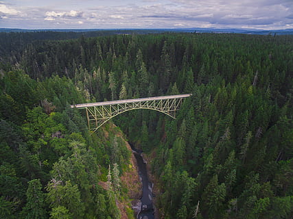 Antenne, Fotografie, Weiß, Brücke, umgeben, Grün, Bäume, tagsüber, Stahlbrücke, Mitte, Luftbild, grüner Baum, bedeckt, Insel, weißes Metall, lange Brücke, Wald, Baum, Berg, Wolke, Natur, Brücke - künstliche Struktur, szenen, Landschaft, Fluss, draußen, Himmel, Transport, Tag, keine Leute, wolke - himmel, Pflanze, Szenen - Natur, Schönheit in der Natur, Wachstum, Verbindung, Nicht-städtische Szene, High Angle View, Land, grüne Farbe, Ruhe, ruhige Szene, 1080P, CC0, gemeinfrei, lizenzfrei
