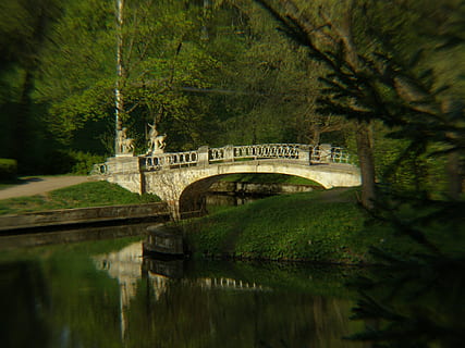 sera, primavera, parco, parcheggiare, ponte, stagno, primavera, parco, ponte, all'aperto, vista, ambiente, naturale, foresta, panoramico, scena, acqua, riflessione, ponte - struttura fatta dall'uomo, fiume, struttura costruita, pianta, albero, connessione, natura, architettura, lago, lungomare, colore verde, giorno, nessuno, la tranquillità, arco, crescita, passerella, ponte ad arco, 2K, CC0, dominio pubblico, privo di copyright