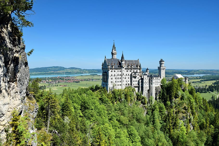 Neuschwanstein, fotografie, alb, gri, castel, clădire, arhitectură, copac, pădure, plantă, cer, exteriorul clădirii, construită, natură, zi, cer senin, creştere, nici o persoana, istorie, destinații de călătorie, trecutul, frumusețe în natură, Culoarea verde, albastru, Munte, călătorie, în aer liber, 5K