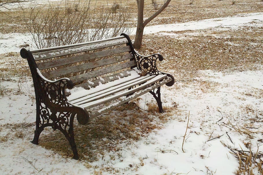 banc, parc, neu, hivern, herba, ferro colat, fusta, seient, fred, tranquil, solitari, temperatura de fred, camp, cap gent, absència, naturalesa, terra, dia, buit, Banc del parc, congelat, a l'aire lliure, tranquil·litat, parc - l'home va fer espai, cobertura, 2K