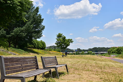 landscape, war, cbd, bench, sky, cloud, scenery, plant, tree, seat, cloud - sky, nature, beauty in nature, field, grass, day, growth, land, scenics - nature, tranquil scene, empty, tranquility, absence, green color, outdoors, park bench, no people, 5K, CC0, public domain, royalty free