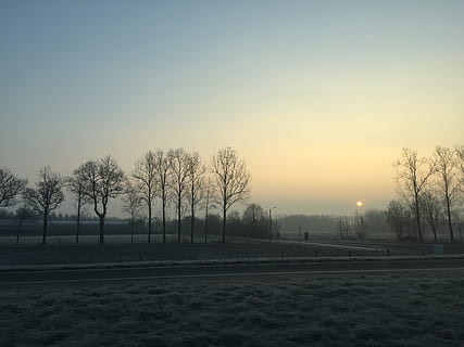 sortida del sol, camps, arbres, cel clar, cel, aire, paisatge, és clar, primavera, cel blau, sol, brillant, kempen, herbes, descans, relaxa't, festa, vista, plantes, arbre, posta de sol, planta, arbre nu, naturalesa, cap gent, escenics - natura, tranquil·litat, bellesa a la natura, escena tranquil·la, còpia espai, hivern, silueta, a l'aire lliure, temperatura de fred, arquitectura, 2K, CC0, domini públic, lliure de regalies