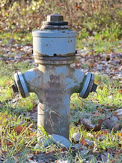 Hydrant, Water, Metal, Fire, rusty, delete, fire delete, fire fighting, day, no people, outdoors, field, plant, grass, nature, focus on foreground, land, close-up, sunlight, fire hydrant, safety, security, protection, plant part, leaf, old, 4K, CC0, public domain, royalty free