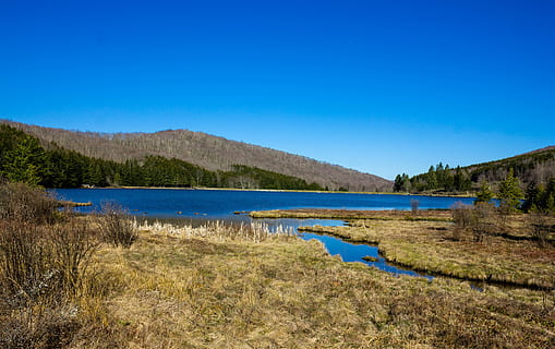 perilla de abeto lago, paisajes, pomo de abeto, lago perilla, montañas, destacado, lago, paisaje, dominio publico, cielo, agua, naturaleza, azul, scenics, al aire libre, montaña, bosque, árbol, belleza en la naturaleza, verano, cordillera, nadie, escena tranquila, color verde, pantano, paisajes - naturaleza, tranquilidad, cielo limpio, hierba, ambiente, planta, día, tierra, copia espacio, 4K, CC0, dominio público, libre de derechos