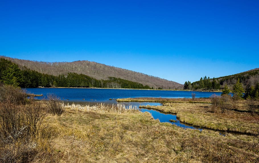 lloma de botó d'avet, paisatges, pom de picota, botó de llac, muntanyes, presentat, llac, paisatge, domini públic, cel, aigua, naturalesa, blau, escenics, a l'aire lliure, muntanya, bosc, arbre, bellesa a la natura, estiu, Serra, cap gent, escena tranquil·la, color verd, pantà, escenics - natura, tranquil·litat, cel clar, herba, medi ambient, planta, dia, terra, còpia espai, 4K
