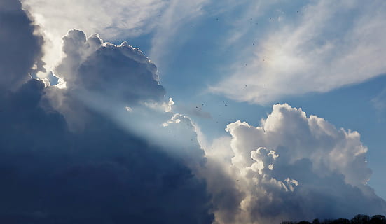 biały, niebieski, niebo chmury, ptaki, latający, chmury, niebo, promienie słoneczne, Natura, chmura - niebo, piękno natury, scenics, cloudscape, spokój, żadnych ludzi, pogoda, promień słońca, światło słoneczne, środowisko, tła, biały kolor, idylliczny, scenics - natura, dzień, spokojna scena, na dworze, dramatyczne niebo, meteorologia, jasny, miękkość, 5K