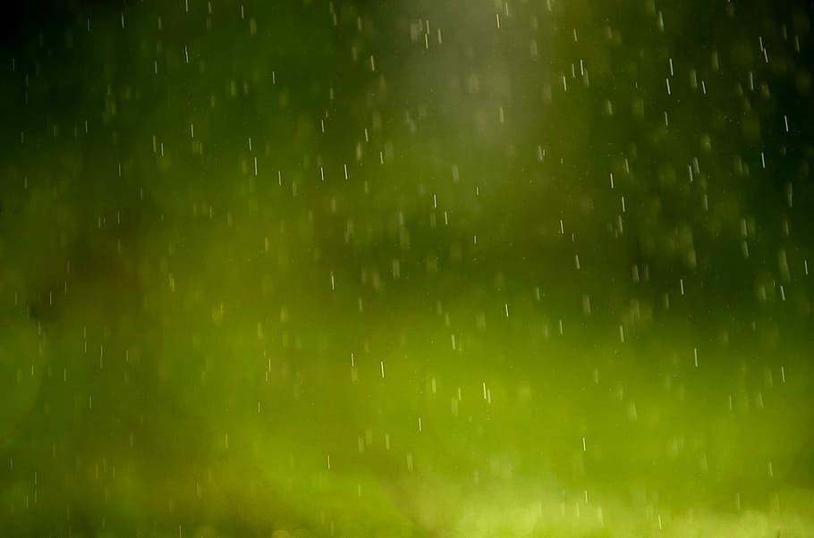 Zeitraffer Fotografie, Regentropfen, Hintergrund, Regen, farbig, Farbe, abstrakt, dunkel, Netz, Webseite, Seite, einfarbig, Zeichen, Vorlage, zeitgemäß, Broschüre, Segeltuch, Wand, Grün, Natur, Wetter, Regenfall, Regenzeit, Wasser, nass, Hintergründe, Bewegungsunschärfe, Bewegung, sintflutartiger Regen, keine Leute, fallen, Umgebung, Monsun, Vollbild, Unscharf gestellt, grüne Farbe, draußen, Struktureffekt, 1080P