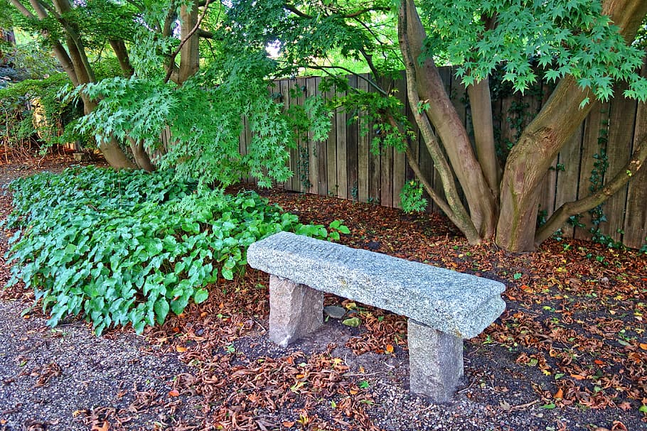 lavice, sedadlo, kamenná lavička, zahrada, park, sedící, strom, plot, list, rostlinné části, rostlina, růst, Příroda, nikdo, den, přistát, zelená barva, park - člověk dělal prostor, kufr, venku, kmen stromu, podzim, klid, dřevo - materiál, Lavička v parku, listy, záhon, 4K