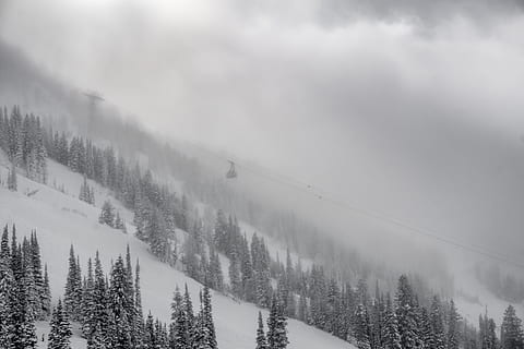 grön, Granar, täckt, snön, landskapsfoto, bergssluttning, spårvagn, träd, snö, vinter-, tall, dimma, natur, skog, landskap, berg, scenics, utomhus, kalltemperatur, vit, icke-urbana scenen, skönhet i naturen, färgbild, säsong, frost, kall temperatur, dag, växt, landa, scenics - natur, himmel, moln - himmel, lugn plats, barrträd, miljö, lugn, inget folk, tallskog, snötäckt berg, snöar, vintergröna träd, 5K, CC0, offentligt domän, royaltyfria