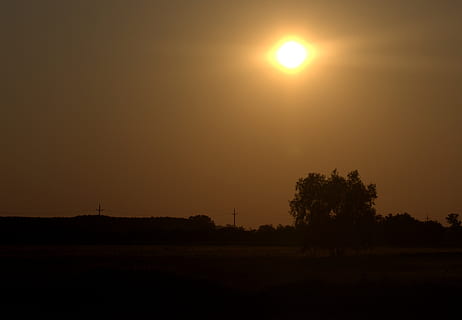 sunset, sun, sky, landscape, shine, tree, beauty in nature, silhouette, tranquil scene, scenics - nature, tranquility, orange color, plant, environment, nature, idyllic, no people, non-urban scene, land, sunlight, field, outdoors, bright, 2K, CC0, public domain, royalty free