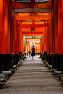 femme, rouge, noir, tombeau, sac à dos, en marchant, tunnel, jour, bâtiment, architecture, structure, sentier, Orange, direction, la voie à suivre, couleur orange, structure construite, vue arrière, dans une rangée, Vrais gens, perspective décroissante, toute la longueur, une personne, modes de vie, colonne architecturale, lieu de culte, Point de fuite, personnes accessoires, plafond, 5K, CC0, domaine public, libre de droits
