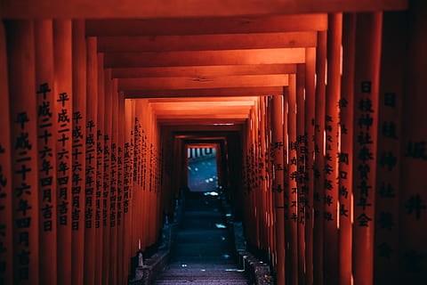ruta del gateway vermell, fotografia de paisatge, torii gates, edifici, estructura, vermell, túnel, kyoto, arquitectura, a l'interior, el camí a seguir, direcció, arcade, passadís, estructura construïda, en fila, perspectiva decreixent, cap gent, columna arquitectònica, repetició, lloc de culte, material de fusta, text, buit, color taronja, santuari, carreró, 5K, CC0, domini públic, lliure de regalies
