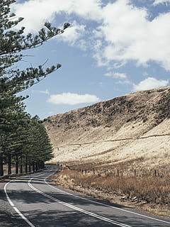 gray, road, tall, tree, daytime, empty, roadway, beside, green, trees, mountain, cliff, shadow, sunlight, sky, cloud - sky, transportation, symbol, sign, the way forward, direction, road marking, day, nature, marking, no people, plant, empty road, non-urban scene, scenics - nature, beauty in nature, outdoors, diminishing perspective, dividing line, surface level, 4K, CC0, public domain, royalty free