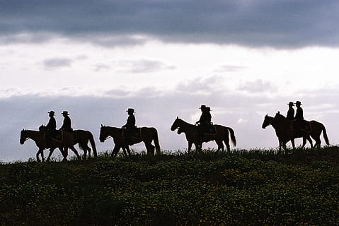 silhuet, syv, mennesker, ridning, heste, texas, himmel, skyer, herrer, ryttere, landskab, silhuetter, grænsekontrol, natur, uden for, Land, landskabet, hest, kamel, dyr, ørken, solnedgang, udendørs, pattedyr, indenlandske, husdyr, dyreliv, kæledyr, gruppe af dyr, gruppe af mennesker, aktivitet, sky - himmel, hvirveldyr, arbejdsdyr, rigtige mennesker, planteædende, 2K, CC0, offentligt domæne, royaltyfrie