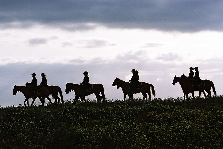 silueta, set, gent, muntar a cavall, cavalls, texas, cel, núvols, homes, pilots, paisatge, siluetes, patrulla fronterera, naturalesa, fora, país, camp, cavall, camell, animal, desert, posta de sol, a l'aire lliure, mamífer, nacional, animals domèstics, bestiar, fauna animal, mascotes, grup d’animals, grup de persones, activitat, núvol - cel, vertebrats, passejades a cavall, animal de treball, persones reals, herbívors, 2K
