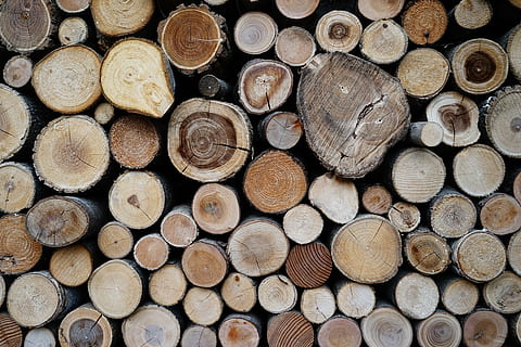 bois, Knar, bar, modèle, USD, texture, bois de chauffage, bûche, industrie du bois, grand groupe d'objets, bois - matériau, arrière-plans, forêt, plein cadre, empiler, la déforestation, abondance, arbre, tas de bois, personne, forme, tas, production de carburant et d'électricité, texturé, en plein air, haché, 5K, CC0, domaine public, libre de droits