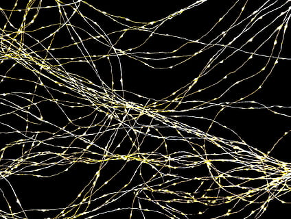 blanc, guirlandes lumineuses, noir, Contexte, texture, lumière, synapses, les liaisons, lignes, éclairage, déco, structure, modèle, conception, nuit, illuminé, embrasé, personne, complexité, longue exposition, fête, mouvement, la nature, matériel d'éclairage, branche, peinture claire, faible angle de vue, sentier lumineux, abstrait, en plein air, arbre nu, ciel, fond noir, emmêlé, 4K, CC0, domaine public, libre de droits