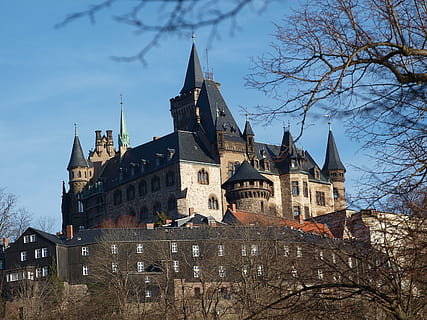 grau, schwarz, Beton, Gebäude, blattlose Bäume, tagsüber, Zuhause, Wand, Leben, die Architektur, Schloss, Geschichte, berühmter Platz, Europa, alt, Turm, Gebäudehülle, gebaute Struktur, Himmel, Baum, Flachwinkelansicht, kahler Baum, Natur, Reiseziele, die Vergangenheit, keine Leute, Tag, Anbetungsstätte, Pflanze, Religion, Spiritualität, draußen, Gothic Style, 2K, CC0, gemeinfrei, lizenzfrei