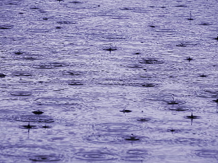 pluja, imatge de fons, textura, tancar, degoteig, gota de pluja, esprai, fred, humit, posa fi, precipitar, temps, llac, mar, aigua, districte, fons, superfície, creativitat, estructura, patró, resum, temes d'animals, fauna animal, animal, animals a la natura, vertebrats, bellesa a la natura, nedar, davant del mar, cap gent, marc complet, naturalesa, grup d’animals, tranquil·litat, ocell, dia, vista d’angle alt, ondulat, a l'aire lliure, marí, família d’animals, 2K, CC0, domini públic, lliure de regalies