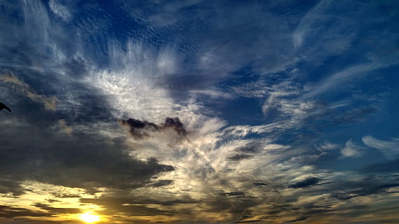 cel, núvols, blau, dia, paisatge, blau, dia, naturalesa, eventide, ceu, horitzó, cel blau, cel intens, bellesa, Sao Paulo, bellesa a la natura, escenics, núvol - cel, temps, cel dramàtic, escenics - natura, cloudscape, posta de sol, tranquil·litat, cel malhumorat, escena tranquil·la, medi ambient, vista d’angle baix, cap gent, idíl·lic, meteorologia, vent, a l'aire lliure, fosc, 2K, CC0, domini públic, lliure de regalies
