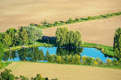 stagno, alberi, mirroring, i campi, paesaggio, arabile, natura, pianta, albero, acqua, la tranquillità, scenics - natura, bellezza nella natura, colore verde, scena tranquilla, lago, giorno, ambiente, terra, nessuno, crescita, scena non urbana, luce del sole, all'aperto, 2K, CC0, dominio pubblico, privo di copyright