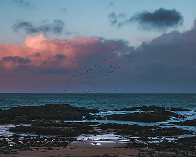 fugl-øje, se fotografering, rock formation, omgivet, legeme, vand, Foto, klipper, ocean, Sky, bølge, klippe, fugl, himmel, hav, horisont over vand, sky - himmel, skønhed i naturen, horisont, scenics - natur, jord, strand, solnedgang, rolig scene, ro, bevægelse, natur, hvirveldyr, dyr, dyre temaer, ingen mennesker, udendørs, flok af fugle, magt i naturen, 2K, CC0, offentligt domæne, royaltyfrie
