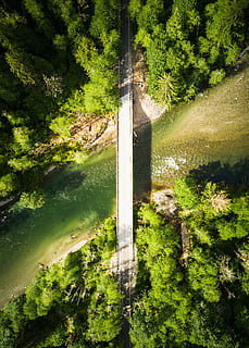 Haut, voir la photo, gris, béton, bâtiment, vue à vol d'oiseau, pont, arbre, rivière, forêt, courant, la nature, eau, vue de drone, vert, brillant, aérien, de haut en bas, ombre, fourche du milieu, Nord-ouest pacifique, Etat de Washington, dji mavic pro, photographie par drone, couleur verte, plante, personne, journée, croissance, lumière du soleil, beauté dans la nature, terre, mousse, herbe, en plein air, Lac, tranquillité, scène non urbaine, traverser, 4K, CC0, domaine public, libre de droits