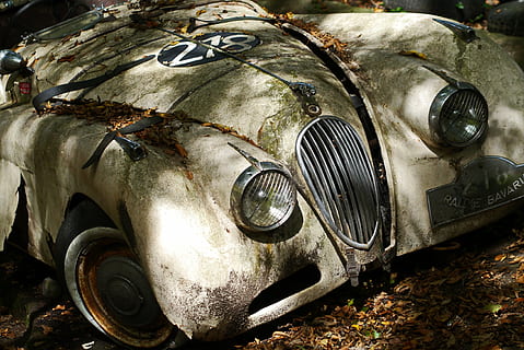 opuštěný, bílý, vinobraní, auto, jaguár, oldtimer, klasický, pkw, vozidlo, historicky, sportovní auto, hnije, Příroda, nerez, zvětralý, šrot, pozemního vozidla, motorové vozidlo, způsob dopravy, přeprava, kov, retro stylu, den, světlomet, starý, nikdo, detail, zastaralý, venku, vysoký úhel pohledu, poškozen, Historické auto, run-down, stříbrné barvy, zničil, 4K, CC0, veřejná doména, bez autorských práv