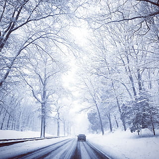 winter, rijden, Boomkap, sneeuw, koude temperatuur, weg, natuur, weer, boom, vervoer, de weg vooruit, fabriek, richting, kale boom, geen mensen, schoonheid in de natuur, witte kleur, tak, kalmte, perspectief verminderen, wijze van transport, aan het bedekken, sneeuwen, extreem weer, sneeuwstorm, 1080P, CC0, publiek domein, royaltyvrij