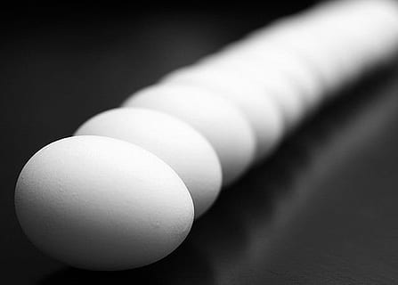 hvitt egg mye, egg, makro, eggskjell, svart bakgrunn, nærbilde, mat og Drikke, studio skudd, innendørs, mat, ingen folk, velvære, spise sunt, friskhet, hvit farge, svart farge, gruppe av objekter, sunn livsstil, enkelhet, grå, form, ekstrem nærbilde, 720P, CC0, offentlig domene, opphavsrett gratis