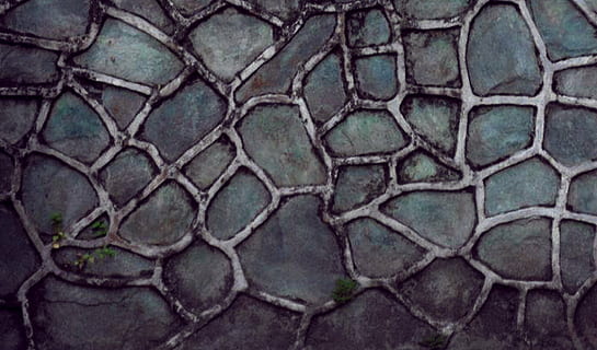 paviment de cistella de cistella, textura, rock, envellit, pedra, molsa, paret, patró, a l'aire lliure, fons, marc complet, primer pla, cap gent, dia, naturalesa, cel, animal, temes d'animals, arquitectura, fauna animal, forma, part del cos dels animals, disseny, pell d’animals, història, planta, bellesa a la natura, 4K, CC0, domini públic, lliure de regalies