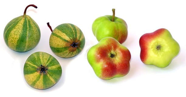 poma, api etoilée, pera, sternapi, schweizerhose, fruita, benestar, fruita de poma, menjar, alimentació saludable, menjar i beguda, tallar, frescor, tir de l'estudi, grup d'objectes, fons blanc, color verd, grup, cap gent, a l'interior, natura morta, vermell, tres objectes, primer pla, variació, orgànic, madur, 2K, CC0, domini públic, lliure de regalies