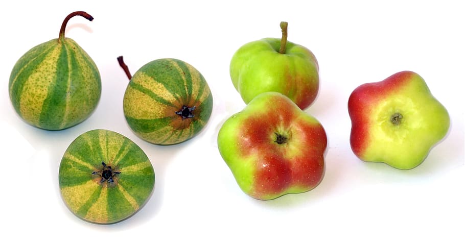 poma, api etoilée, pera, sternapi, schweizerhose, fruita, benestar, fruita de poma, menjar, alimentació saludable, menjar i beguda, tallar, frescor, tir de l'estudi, grup d'objectes, fons blanc, color verd, grup, cap gent, a l'interior, natura morta, vermell, tres objectes, primer pla, variació, orgànic, madur, 2K