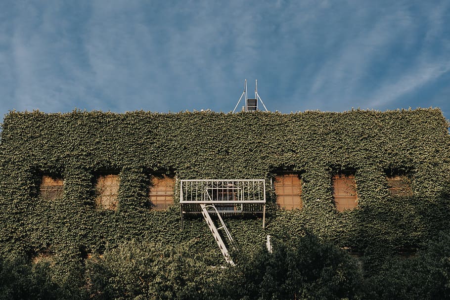 verde, le foglie, coperto, costruzione, Marrone, calcestruzzo, vite, bianca, scala di metallo, giorno, acciaio, uscita antincendio, architettura ed edifici, Casa, architettura, nessuno, all'aperto, esterno dell'edificio, cielo, pianta, struttura costruita, crescita, natura, nuvola - cielo, ambiente, energia rinnovabile, terra, combustibile e produzione di energia, campo, scena rurale, paesaggio, conservazione dell'ambiente, 4K