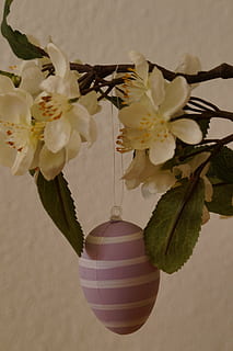easter greeting, easter bouquet, egg, easter egg, happy easter, easter, customs, painted egg, decoration, deco, tradition, spring, branch, easter branch, easter theme, plant, flowering plant, fragility, vulnerability, flower, beauty in nature, growth, freshness, close-up, nature, hanging, petal, no people, flower head, vase, tree, focus on foreground, indoors, inflorescence, springtime, cherry blossom, flower arrangement, cherry tree, 5K, CC0, public domain, royalty free